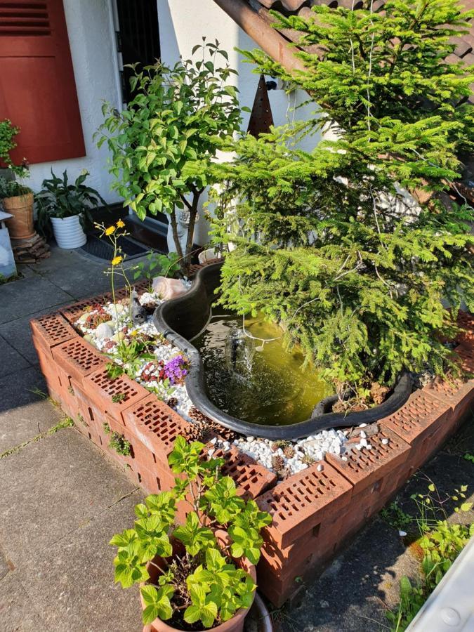 Bnb Haus Weibel Landquart Exteriör bild